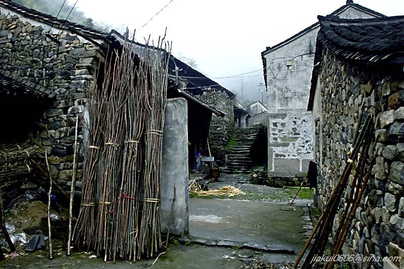 金冠村 金冠村