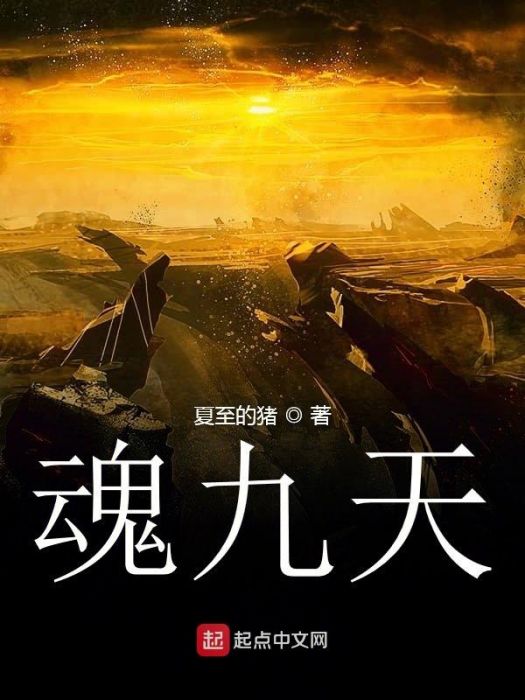 魂九天 魂九天