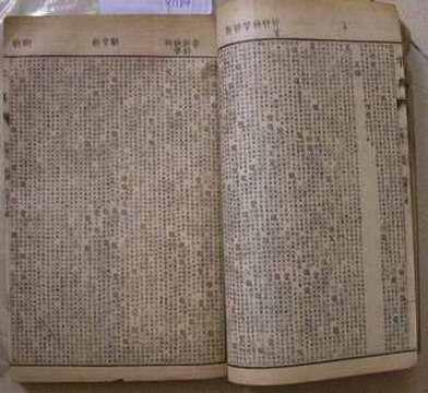 漢文字典