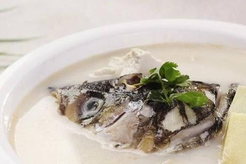 清燉鰱魚頭