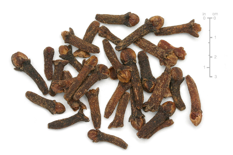 食用丁香 食用丁香