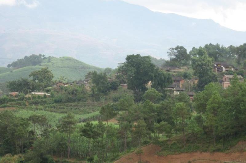 丫口田村(雲南景東縣太忠鄉下轄村) 丫口田村(雲南景東縣太忠鄉下轄村)