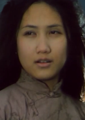 良家婦女(1985年黃健中執導電影)