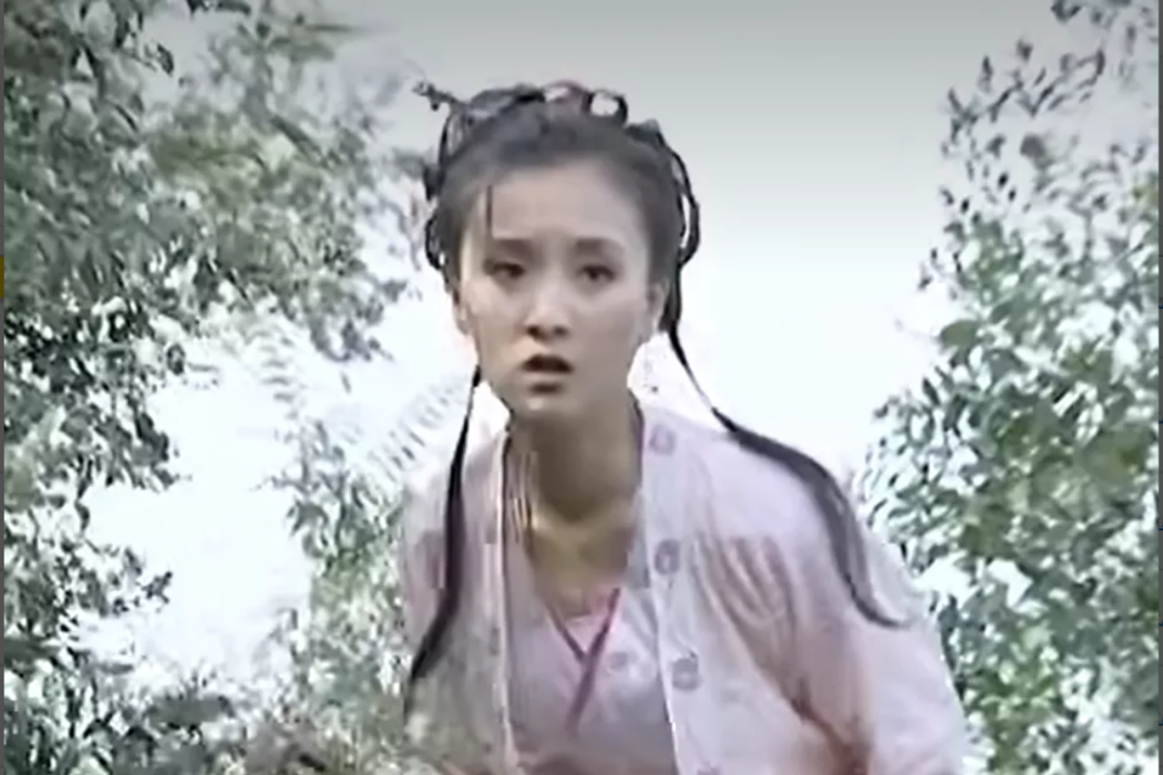 莘瑤琴(電視劇《愛情寶典》中的角色) 莘瑤琴(電視劇《愛情寶典》中的角色)