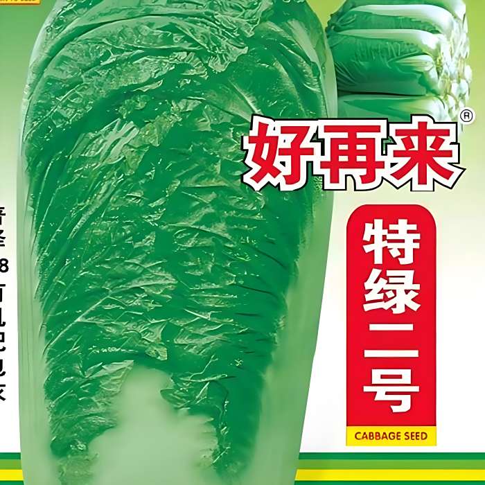 大玉姐 大玉姐