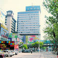 鐘家村(湖北武漢市漢陽區下轄社區) 鐘家村(湖北武漢市漢陽區下轄社區)