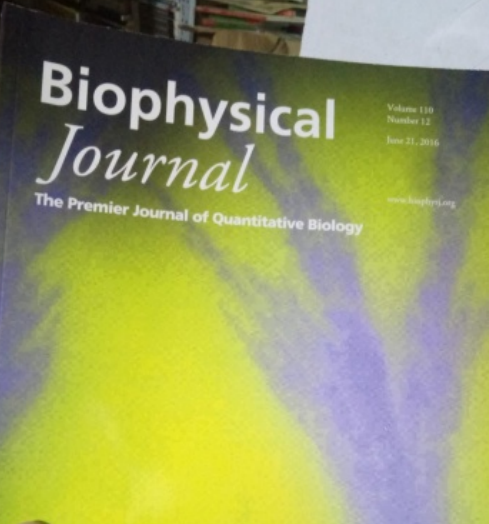 BIOPHYSICAL JOURNAL BIOPHYSICAL JOURNAL