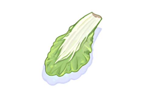 白菜葉 白菜葉