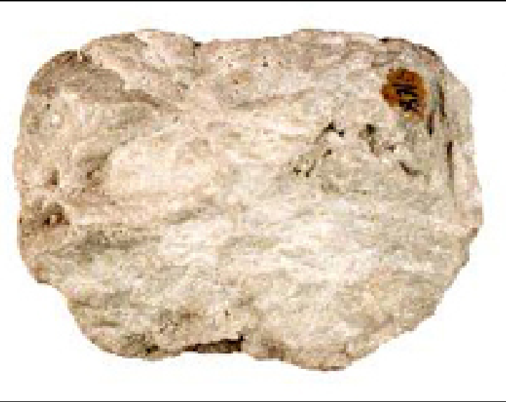 鈣質白雲岩