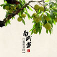 小武當山