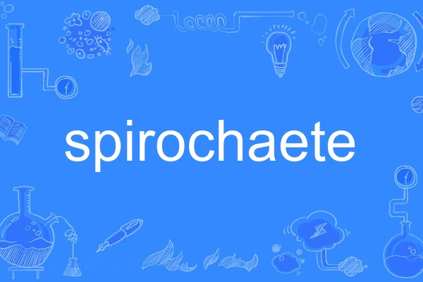 spirochaete spirochaete