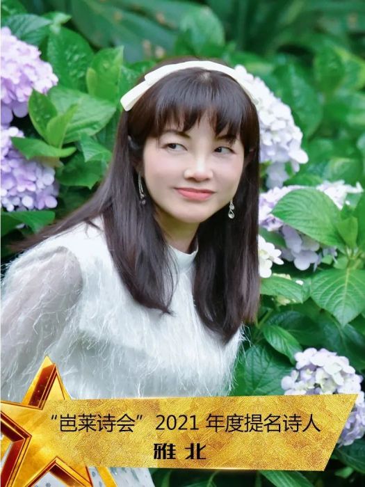 雅北 雅北
