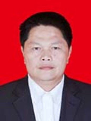 馮建華(來鳳縣大河鎮黨委副書記、鎮長) 馮建華(來鳳縣大河鎮黨委副書記、鎮長)