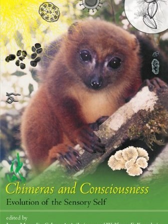 Chimeras and Consciousness Chimeras and Consciousness