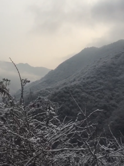 褚家山 褚家山