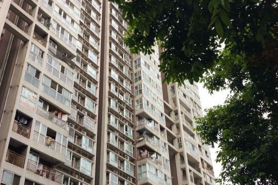 星座微果 星座微果
