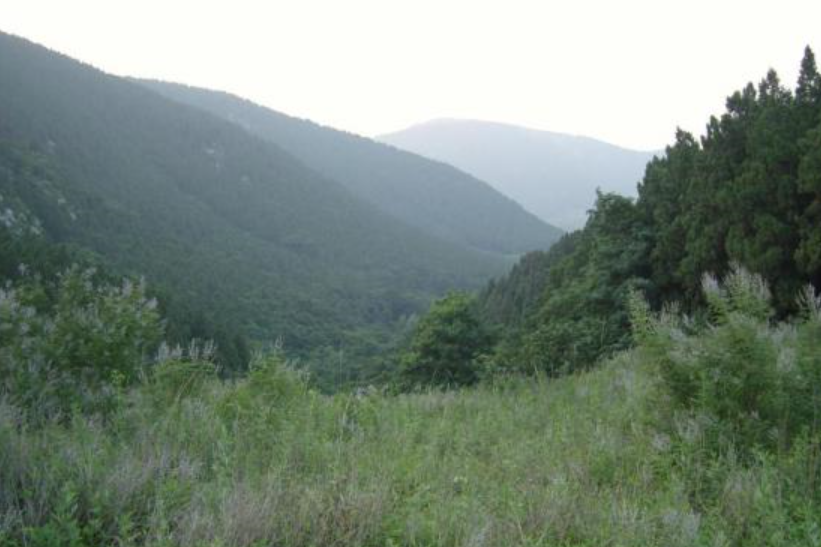 魯山林場(山東省微山縣魯山林場) 魯山林場(山東省微山縣魯山林場)
