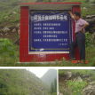 官亭鄉(河北省衡水饒陽縣官亭鄉) 官亭鄉(河北省衡水饒陽縣官亭鄉)