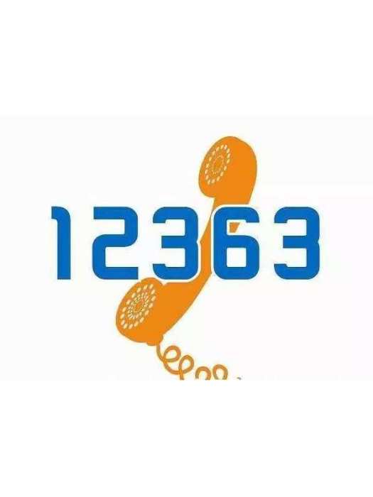 12363 12363