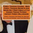 Forex Trading Course: Best Forex Trading Secrets and Weird but Profitable Little Known Tricks Forex Trading Course: Best Forex Trading Secrets and Weird but Profitable Little Known Tricks
