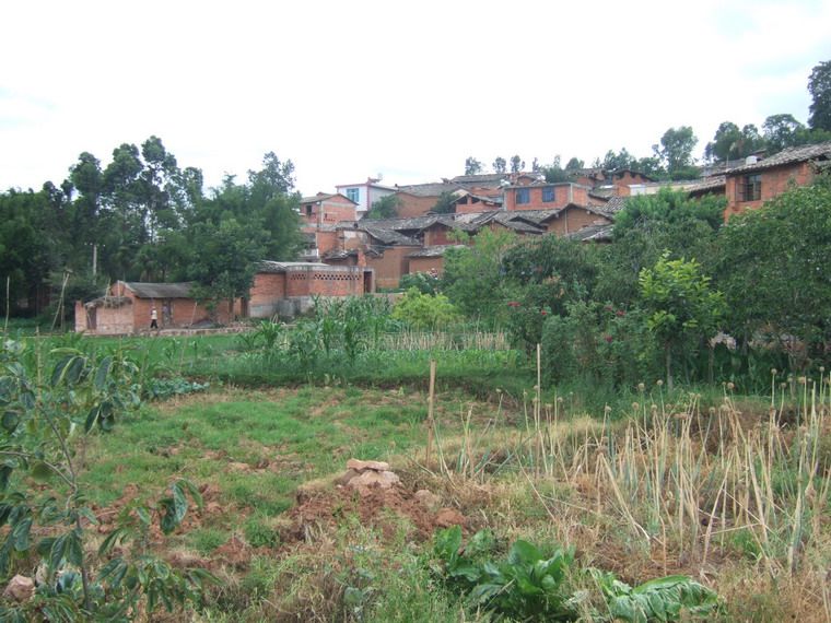 小王馬村 小王馬村