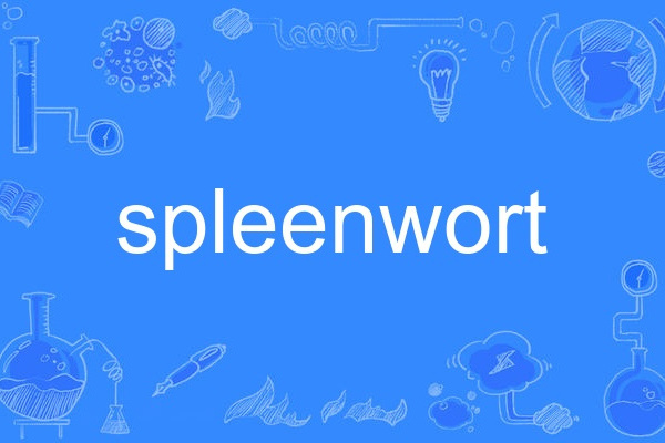 spleenwort