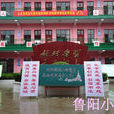 魯陽國小 魯陽國小