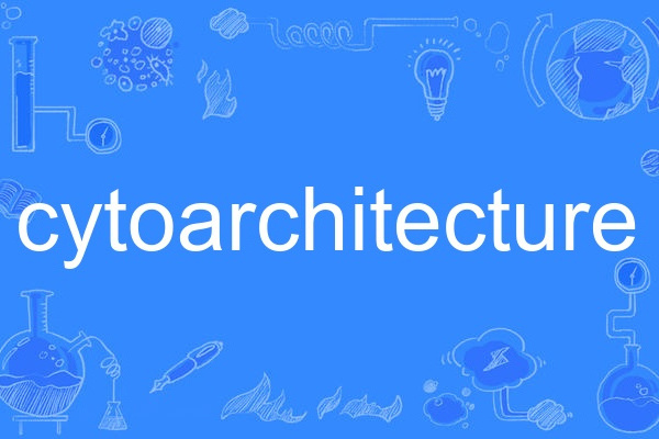 cytoarchitecture cytoarchitecture