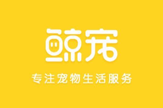 鯨寵 鯨寵