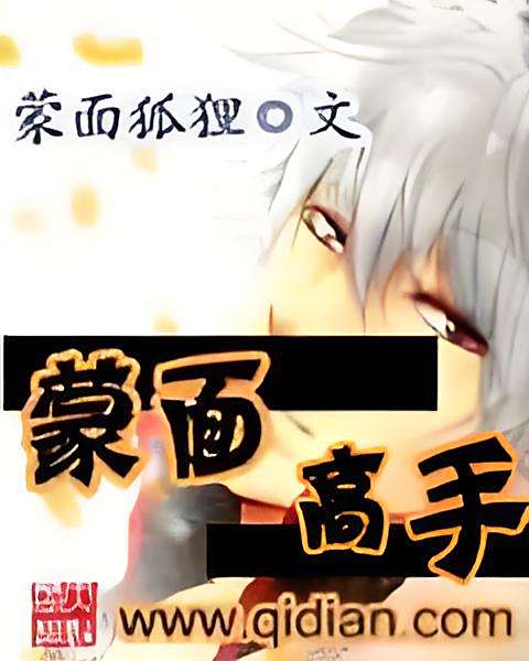 蒙面高手 蒙面高手