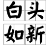 白頭如新 白頭如新