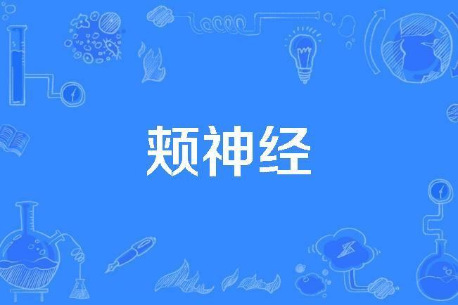 頰神經 頰神經