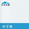 葉子寒(鄭奈何創作的網路小說)