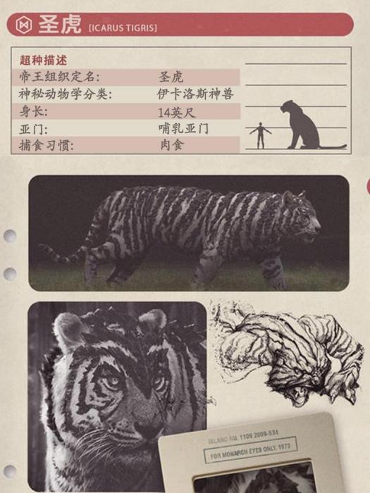聖虎 聖虎