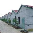 建中村(浙江嘉興市平湖市全塘鎮下轄村) 建中村(浙江嘉興市平湖市全塘鎮下轄村)