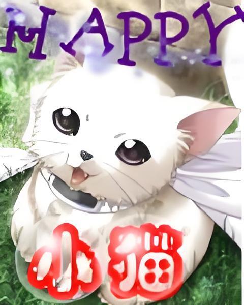 HAPPY小貓 HAPPY小貓