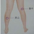 魚腹穴 魚腹穴