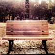 完美校園(小說) 完美校園(小說)