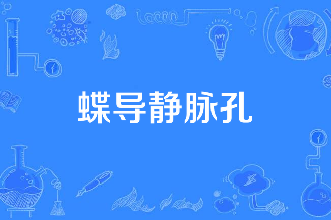 蝶導靜脈孔 蝶導靜脈孔