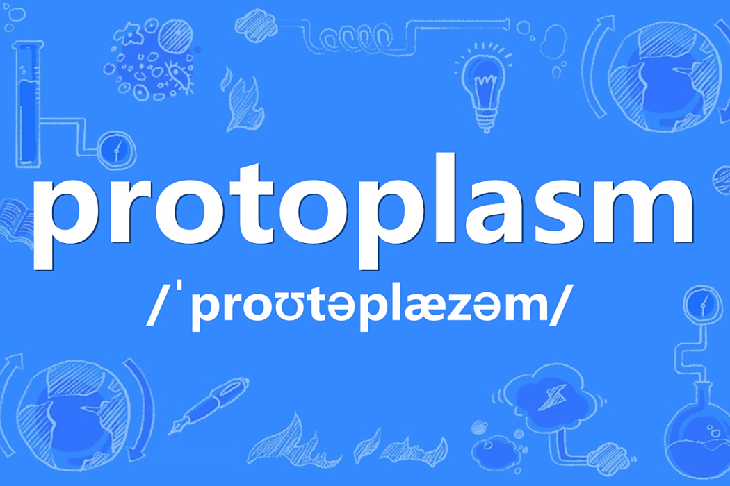 protoplasm
