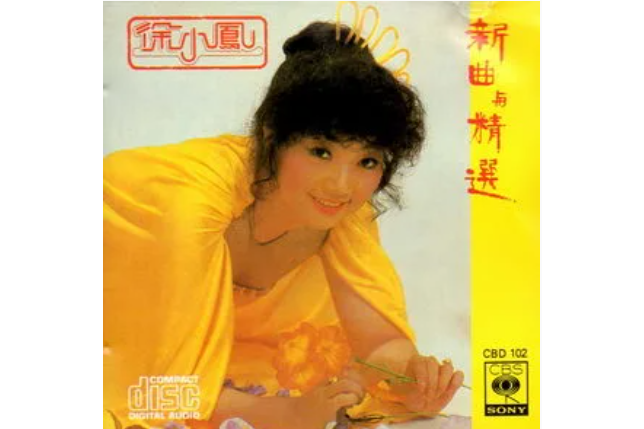 漫天風雨(徐小鳳《新曲與精選》專輯中的歌曲) 漫天風雨(徐小鳳《新曲與精選》專輯中的歌曲)