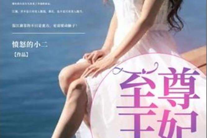至尊王妃(憤怒的小二所著小說) 至尊王妃(憤怒的小二所著小說)