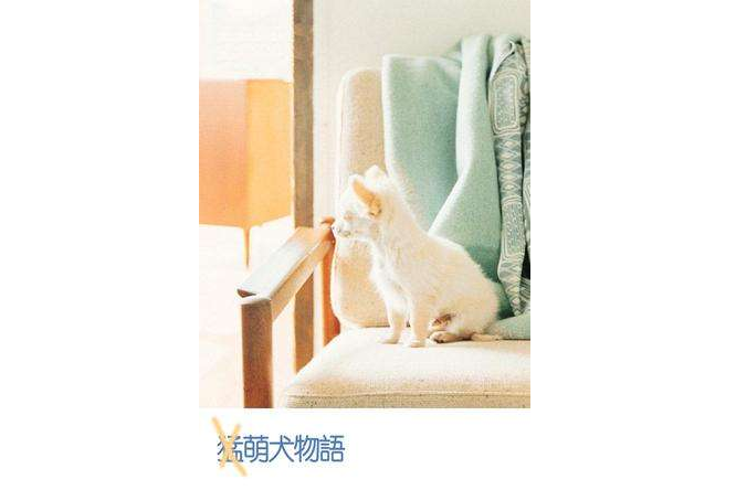 萌犬物語 萌犬物語