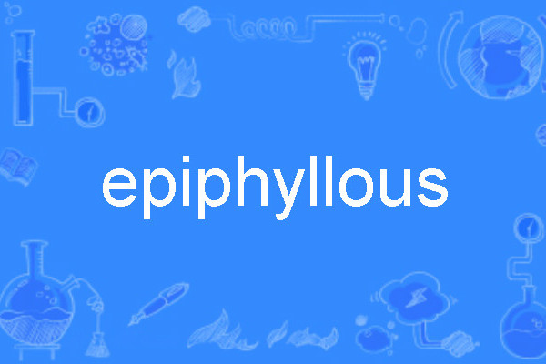 epiphyllous epiphyllous
