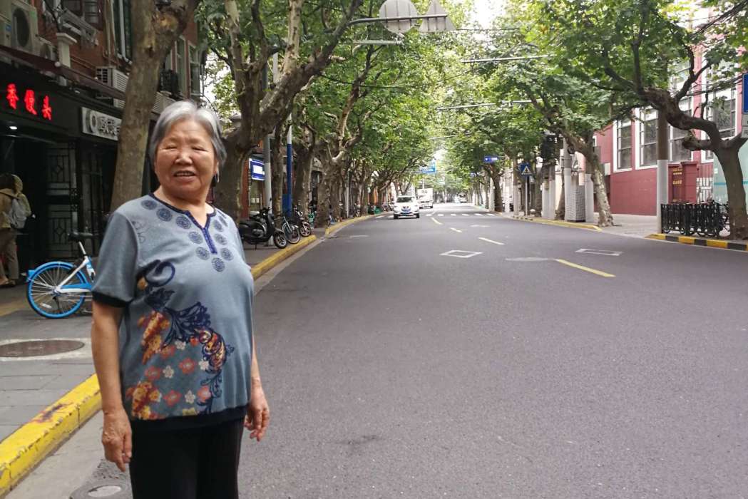 梧桐街(蘇州市梧桐街) 梧桐街(蘇州市梧桐街)