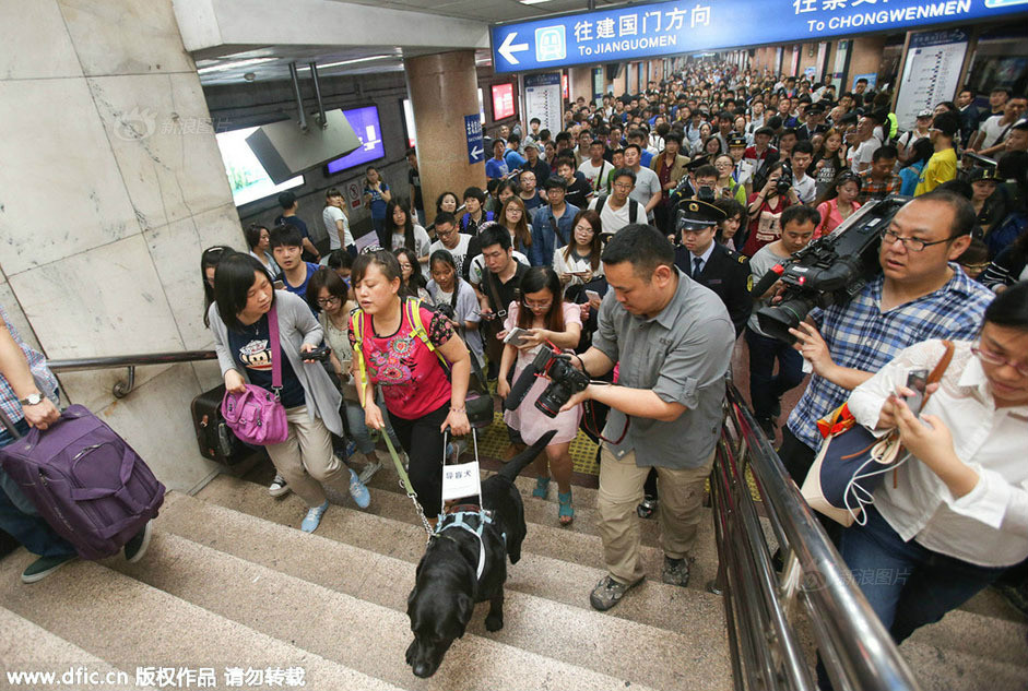 北京導盲犬首次獲準進入捷運