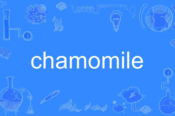 chamomile chamomile