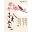 喜妻盈盈 喜妻盈盈
