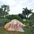 向陽村(雲南省尋甸縣六哨鄉下轄村) 向陽村(雲南省尋甸縣六哨鄉下轄村)