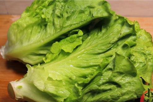 牡丹生菜 牡丹生菜